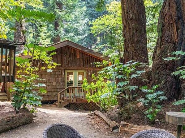 Magical Cabin Retreat in the Redwoods!!